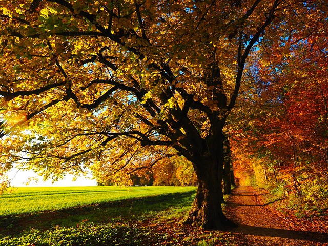 Read more about the article Best World Destinations to Celebrate Autumn
