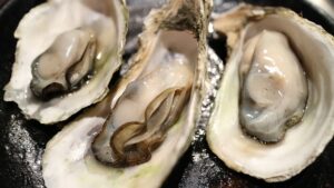 Read more about the article Gifts from the Sea:  The Divine Oyster